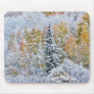 Fall Colors of Aspens & Snow Keebler Pass Mouse Pad