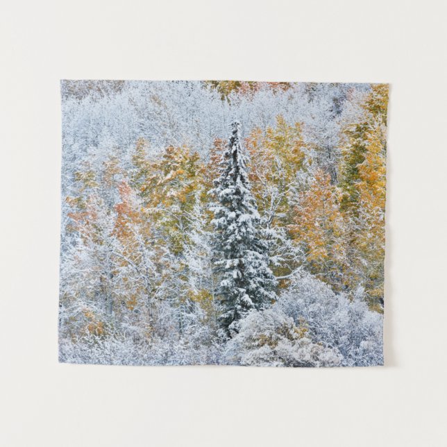 Fall Colors of Aspens & Snow Keebler Pass Tapestry (Front (Horizontal))