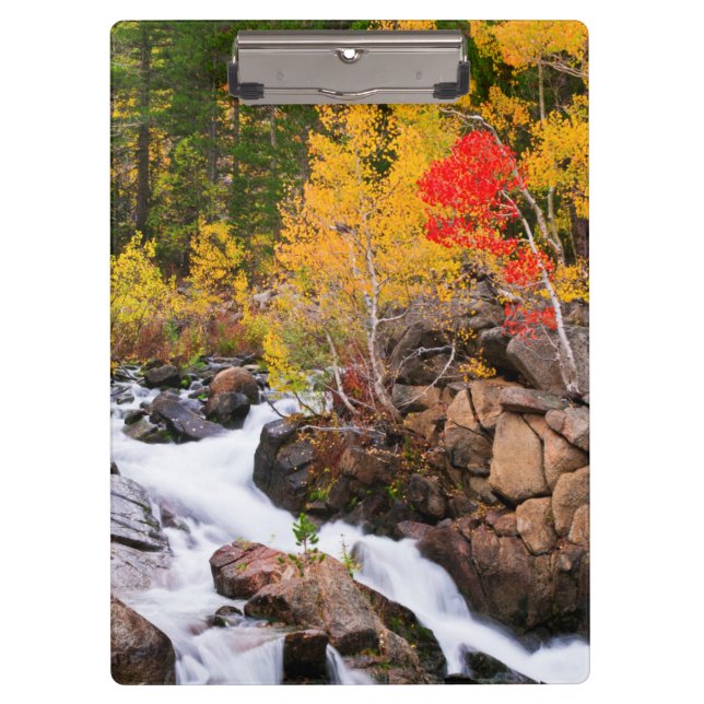 Fall colour along Bishop Creek, CA Clipboard (Front)