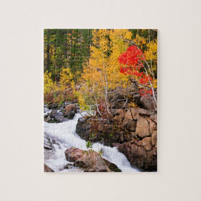 Fall colour along Bishop Creek, CA Jigsaw Puzzle (Vertical)