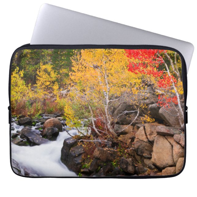 Fall colour along Bishop Creek, CA Laptop Sleeve (Front)