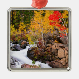 Fall colour along Bishop Creek, CA Metal Ornament