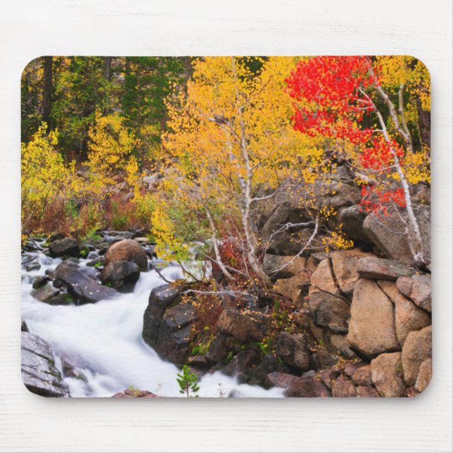 Fall colour along Bishop Creek, CA Mouse Pad (Front)