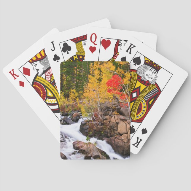 Fall colour along Bishop Creek, CA Playing Cards (Back)