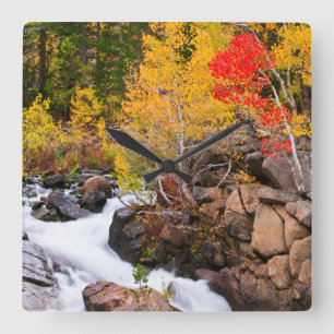 Fall colour along Bishop Creek, CA Square Wall Clock