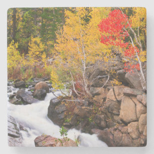 Fall colour along Bishop Creek, CA Stone Coaster