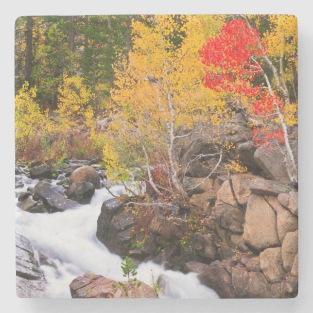 Fall colour along Bishop Creek, CA Stone Coaster (Front)
