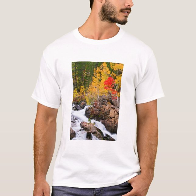 Fall colour along Bishop Creek, CA T-Shirt (Front)