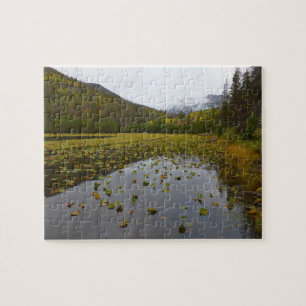 Fall Colour at Cub Lake Jigsaw Puzzle