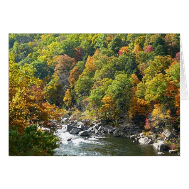 Fall Colour at Ohiopyle State Park (Front Horizontal)