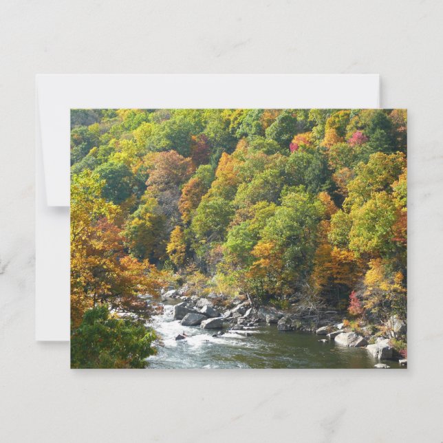 Fall Colour at Ohiopyle State Park (Front)