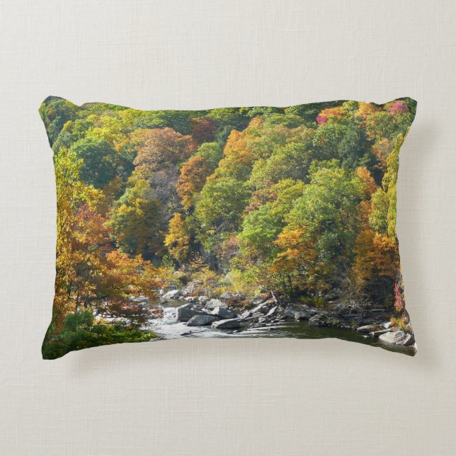 Fall Colour at Ohiopyle State Park Accent Pillow (Front)