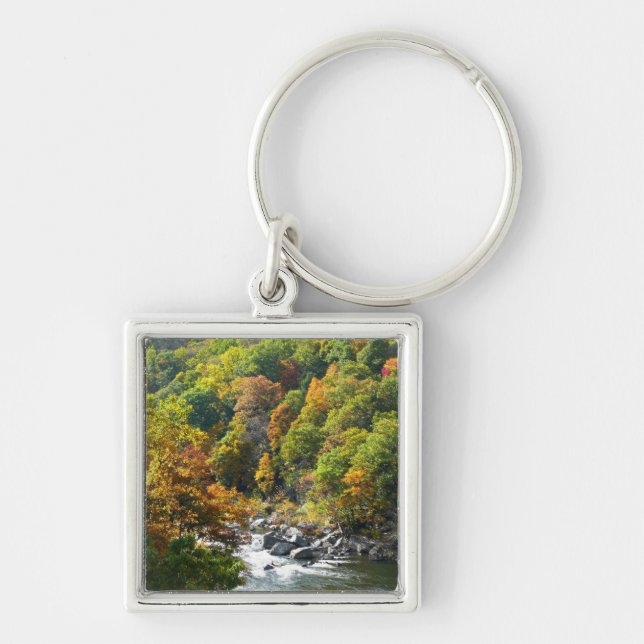 Fall Colour at Ohiopyle State Park Keychain (Front)