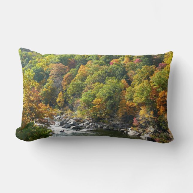 Fall Colour at Ohiopyle State Park Lumbar Pillow (Front)