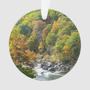 Fall Colour at Ohiopyle State Park Ornament