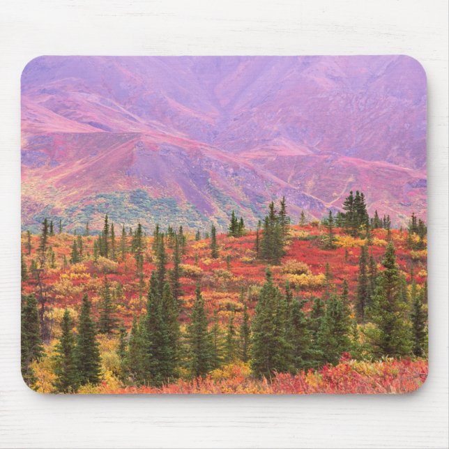 Fall colour in Denali National Park Mouse Pad (Front)