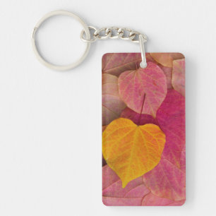 Fall colour on Forest Pansy Redbud fallen Keychain