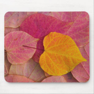 Fall colour on Forest Pansy Redbud fallen Mouse Pad