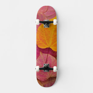Fall colour on Forest Pansy Redbud fallen Skateboard