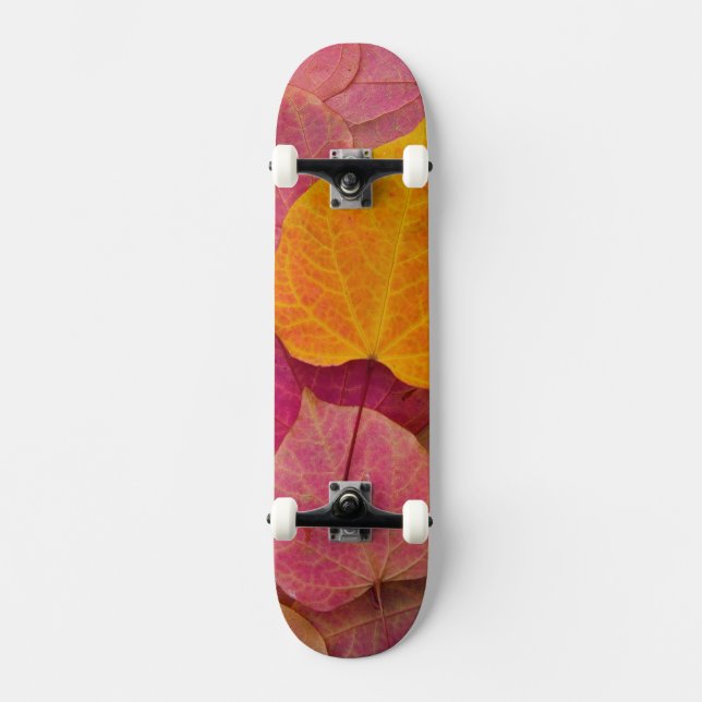 Fall colour on Forest Pansy Redbud fallen Skateboard (Front)