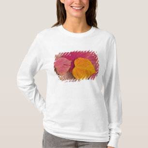 Fall colour on Forest Pansy Redbud fallen T-Shirt