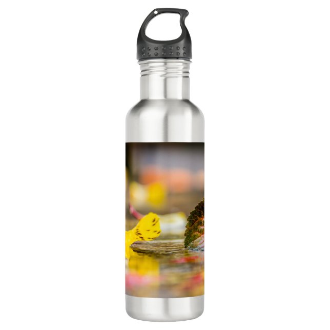 Fall colours 710 ml water bottle (Front)