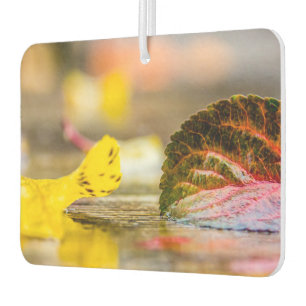 Fall colours air freshener