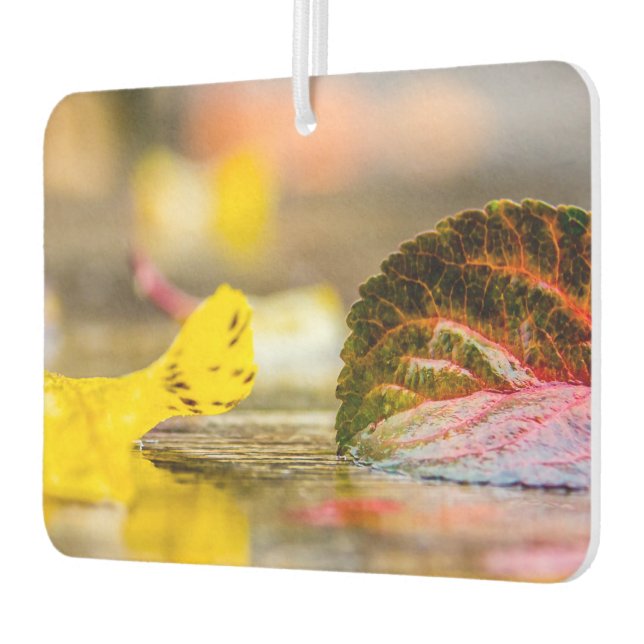 Fall colours air freshener (Left)