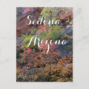 Fall colours all around Sedona, Arizona Postcard