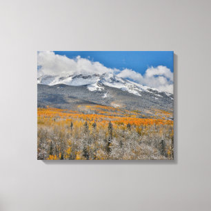 Fall Colours Aspens &    Rocky Mountains, Colorado Canvas Print