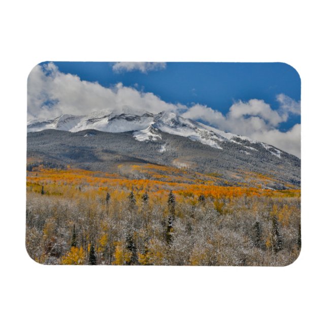Fall Colours Aspens &  | Rocky Mountains, Colorado Magnet (Horizontal)