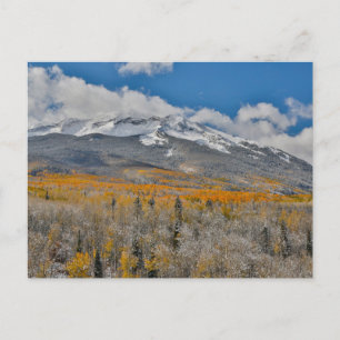 Fall Colours Aspens & Rocky Mountains, Colorado Postcard