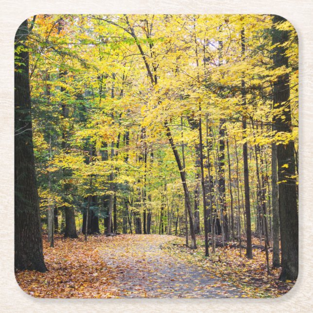 Fall Colours at Cuyahoga Valley National Park Square Paper Coaster (Front)