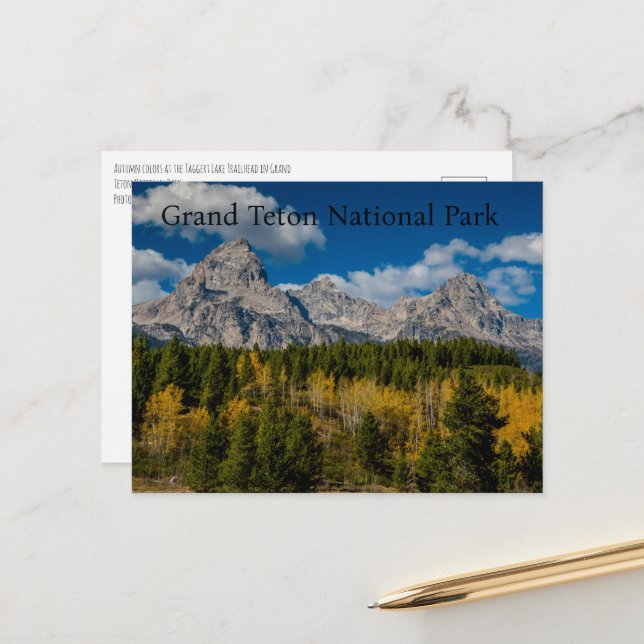 Fall Colours at Grand Teton National Park Postcard (Front/Back In Situ)