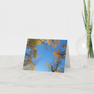 Fall colours blank notecard