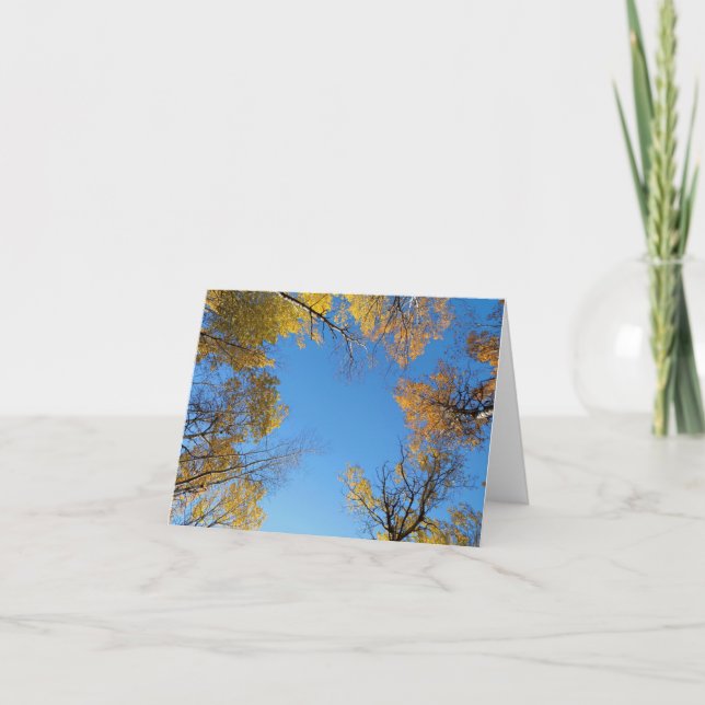 Fall colours blank notecard (Front)
