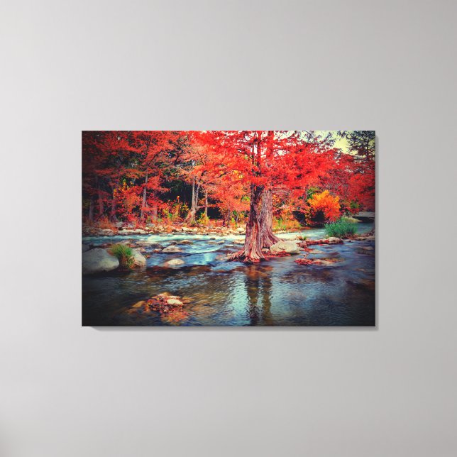 Fall Colours Canvas Print (Front)