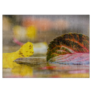 Fall colours cutting board