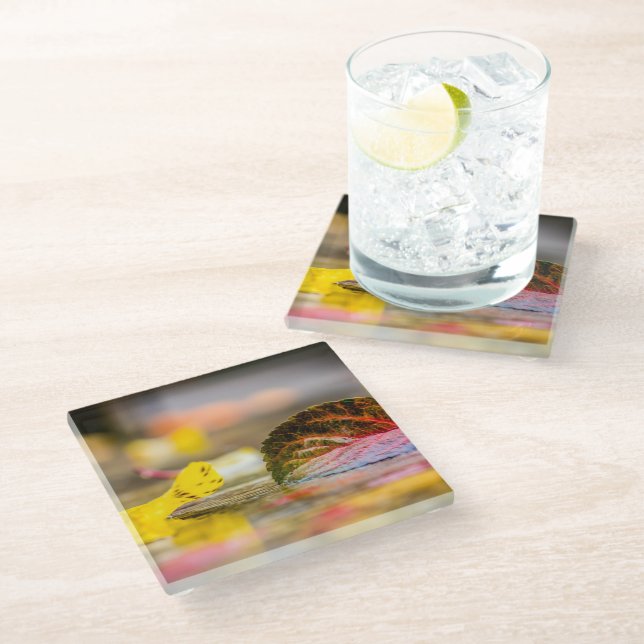 Fall colours glass coaster (Angled)