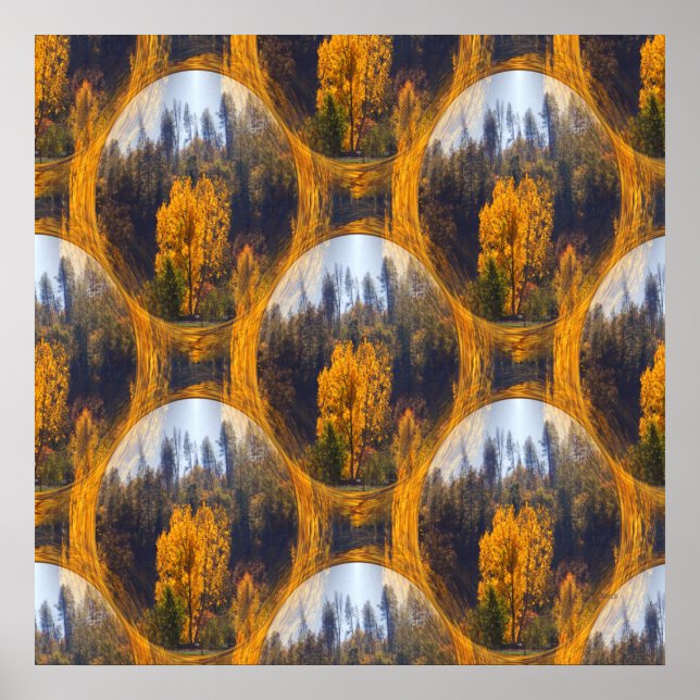 Fall colours in Hayfork... Poster (Front)