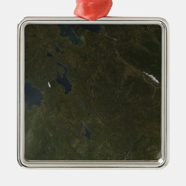 Fall colours in northwestern Russia Metal Ornament (Front)