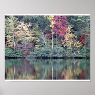 Fall colours in Tennessee Poster