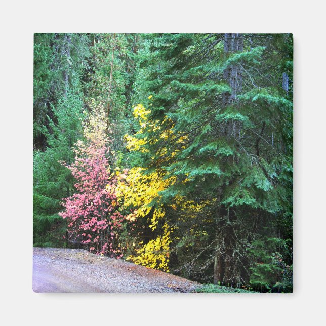 Fall colours in the mountains.... magnet (Front)
