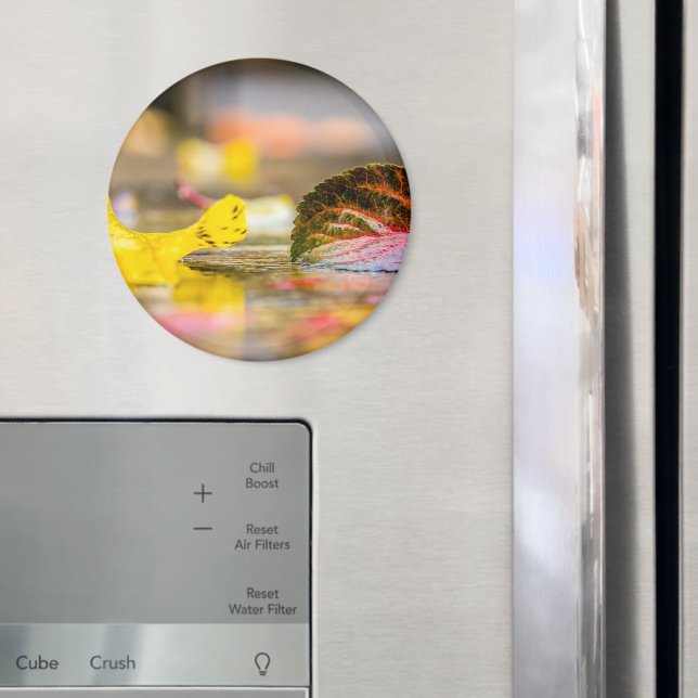 Fall colours magnet (In Situ (Fridge))
