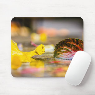 Fall colours mouse pad