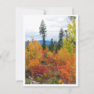 Fall Colours Note Card 4.25" x 5.5" w/Envelope