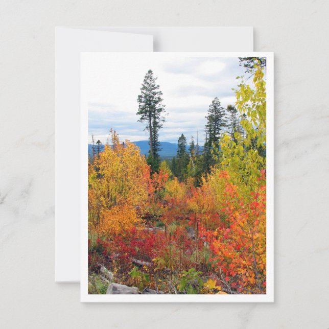 Fall Colours Note Card 4.25" x 5.5" w/Envelope (Front)