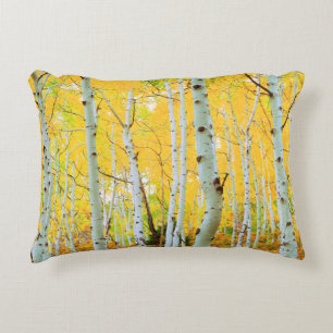 Fall colours of Aspen trees 1 Accent Pillow