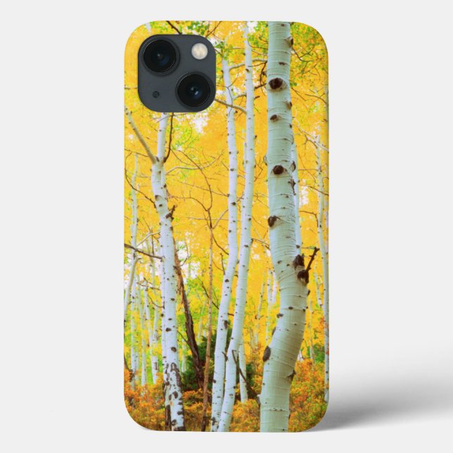 Fall colours of Aspen trees 1 Case-Mate iPhone Case (Back)