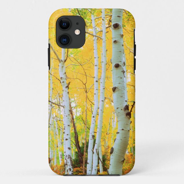 Fall colours of Aspen trees 1 Case-Mate iPhone Case (Back)